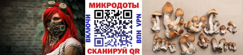 где купить наркоту  Мурманск  Псилоцибиновые грибы Psilocybe 