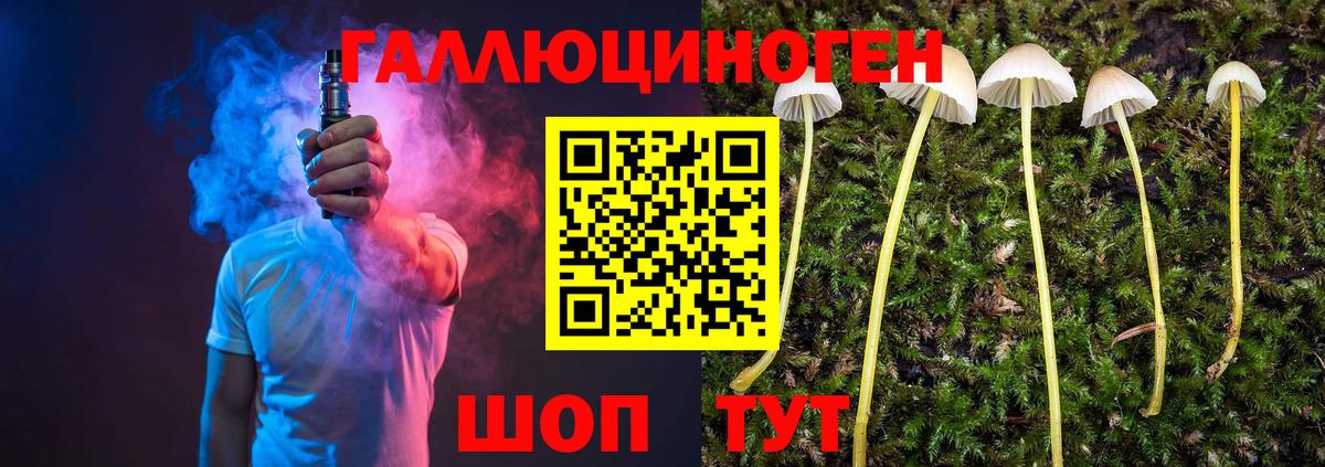 купить закладку  Псилоцибиновые грибы GOLDEN TEACHER  Псилоцибиновые грибы GOLDEN TEACHER  Вход с VPN  Мурманск 