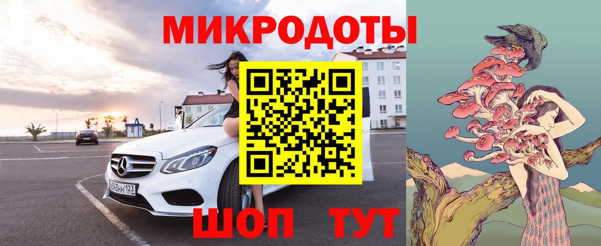 Псилоцибиновые грибы Psilocybe  Мурманск 