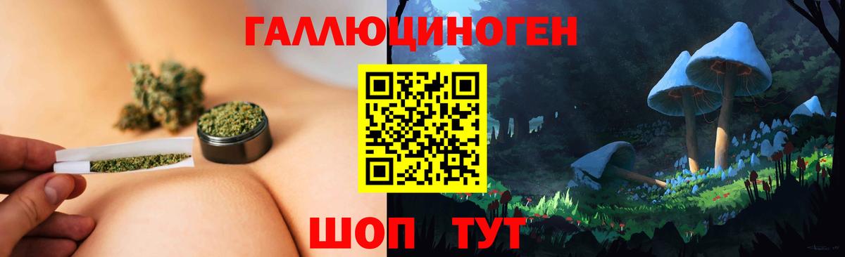 Псилоцибиновые грибы GOLDEN TEACHER Мурманск